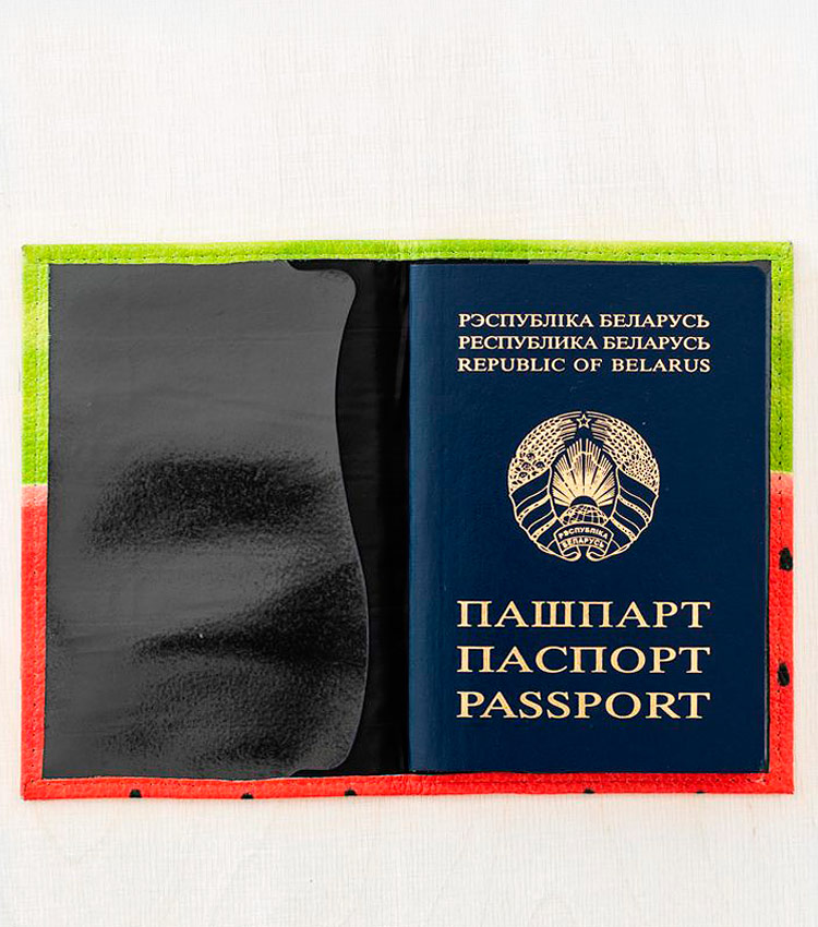 Обложка для паспорта Vokladki «Арбуз»