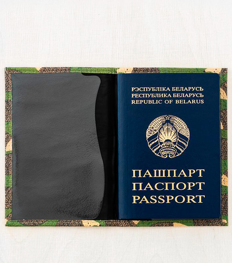 Обложка для паспорта Vokladki «Ежата»