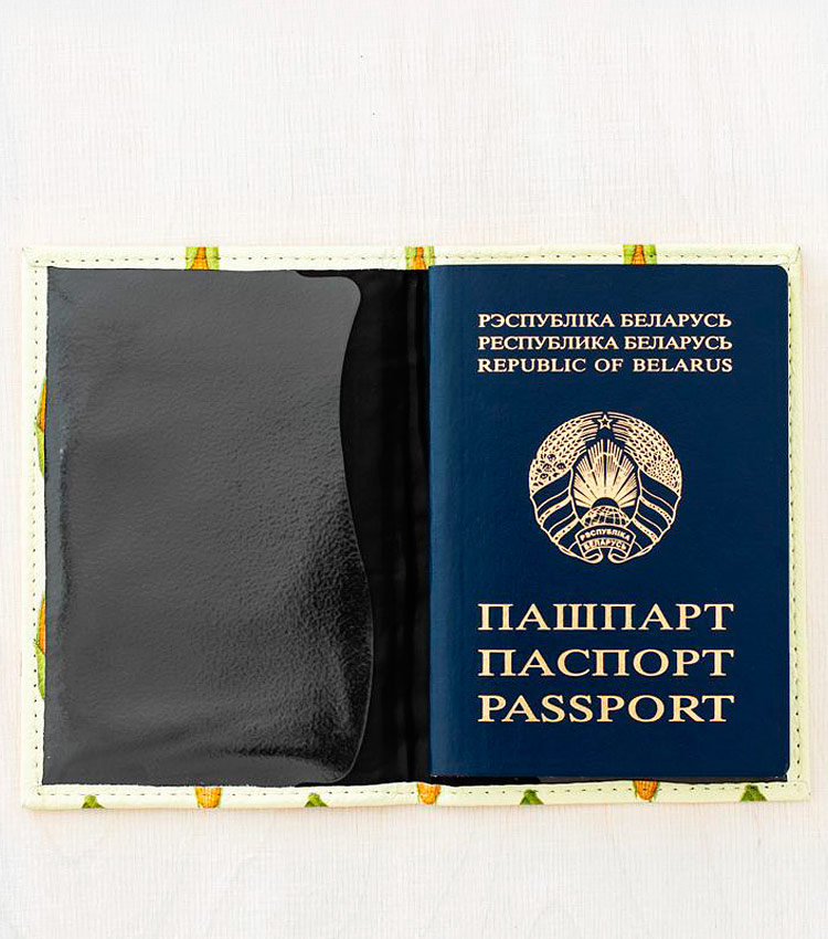 Обложка для паспорта Vokladki «Кукуруза»