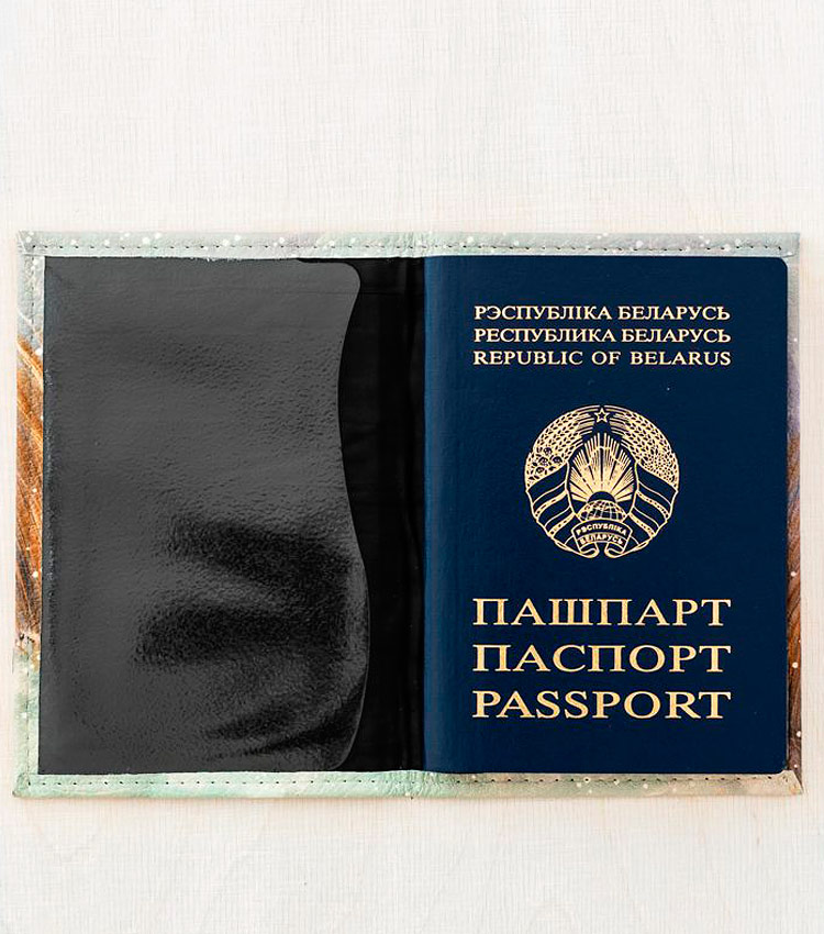 Обложка для паспорта Vokladki «Курочка»