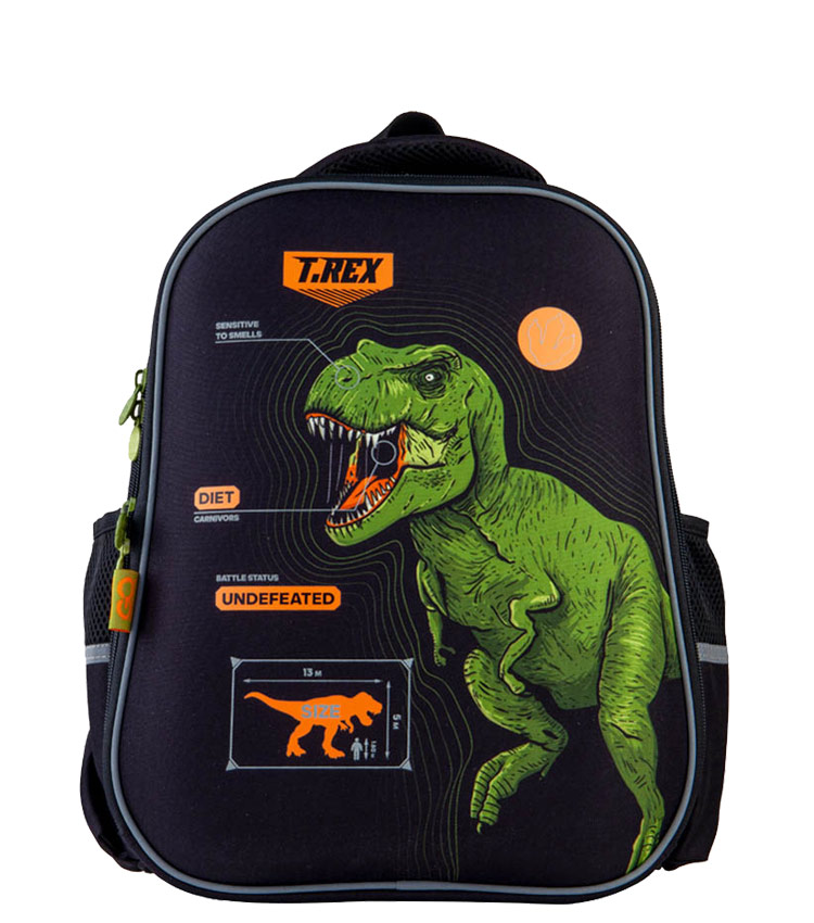 Школьный рюкзак GoPack Education GO21-165M-6 - Dinosaur