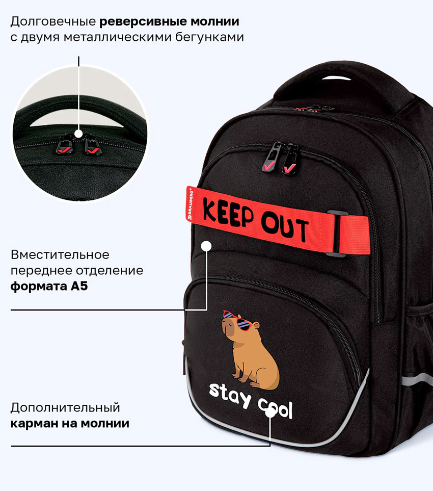 Рюкзак для школы Brauberg Motion Капибара