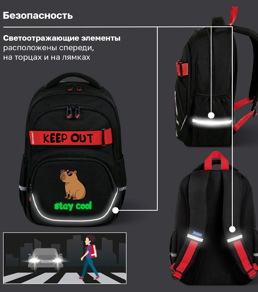Рюкзак для школы Brauberg Motion Капибара