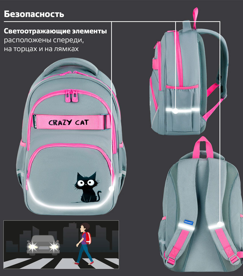 Рюкзак для девочек Brauberg Motion Crazy cat