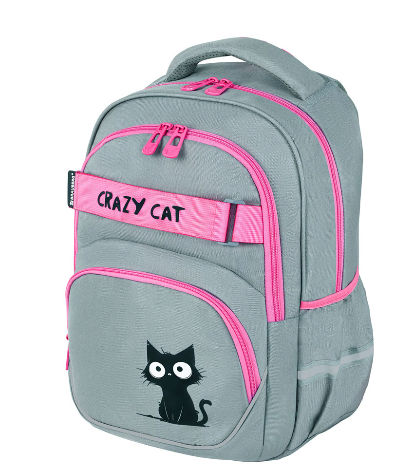 Рюкзак для девочек Brauberg Motion Crazy cat