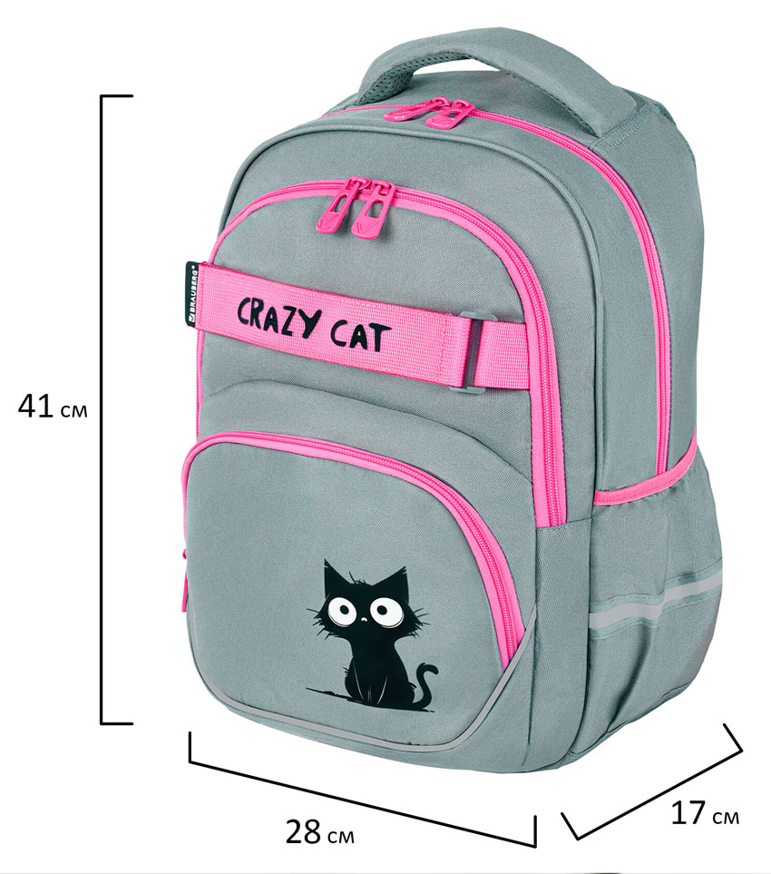 Рюкзак для девочек Brauberg Motion Crazy cat